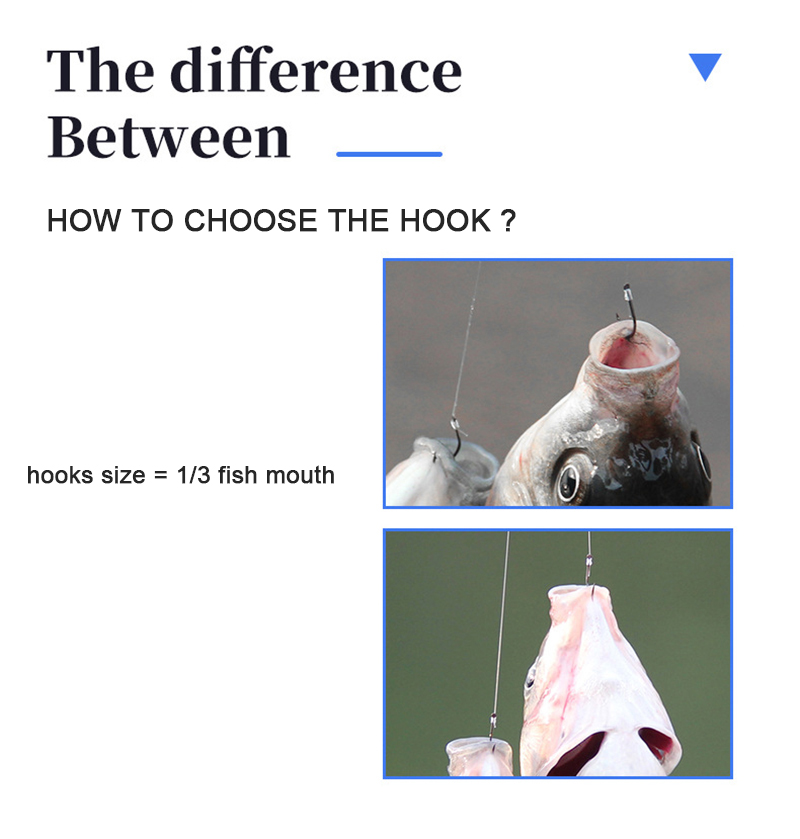 Tippet 45cm 라인 세트와 10 쌍 낚시 후크  - Fishing Hook Assortment 리뷰 및 가격